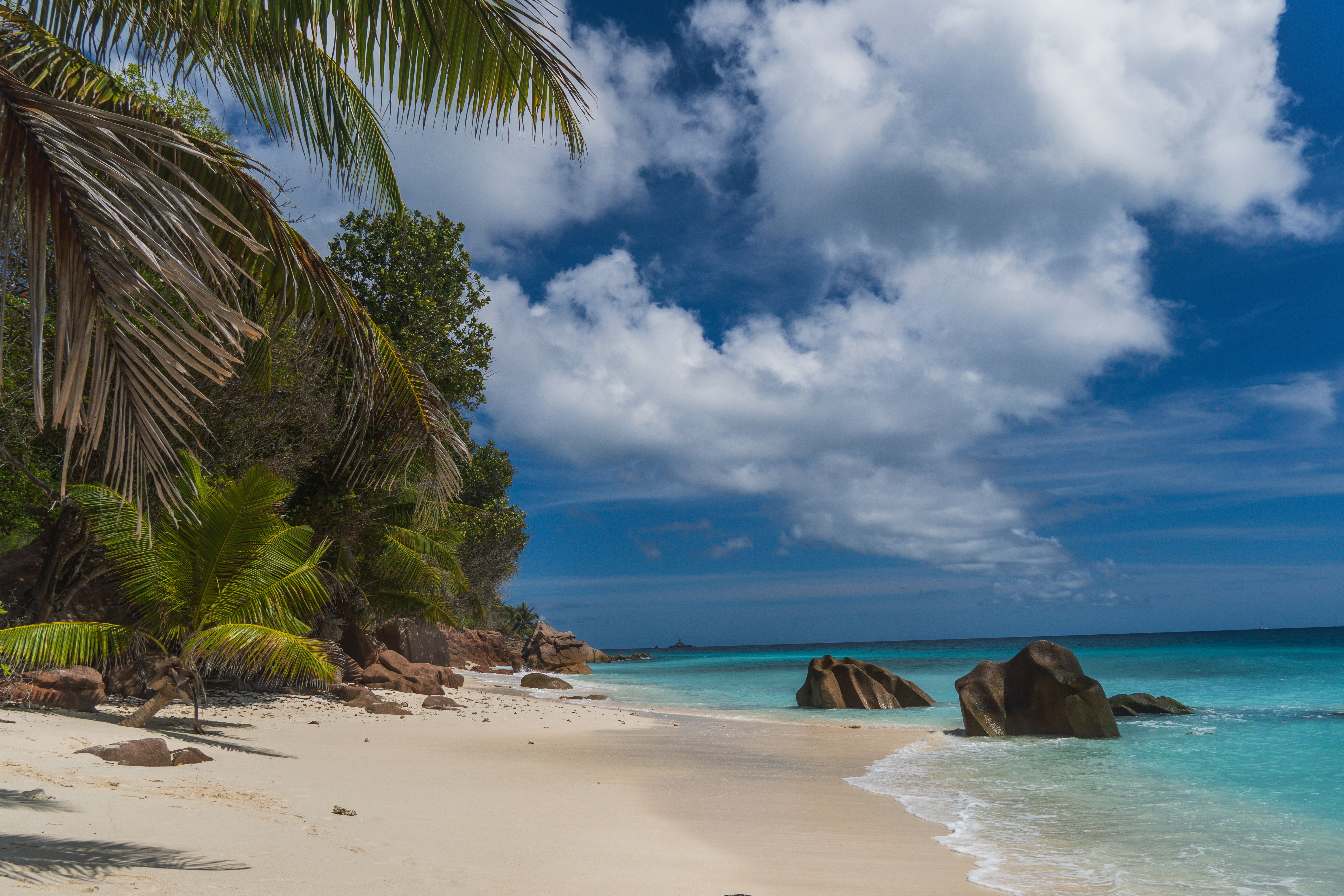 סיישל: Tropical paradise beach with palm trees and granite rocks in Seychelles under a blue sky.