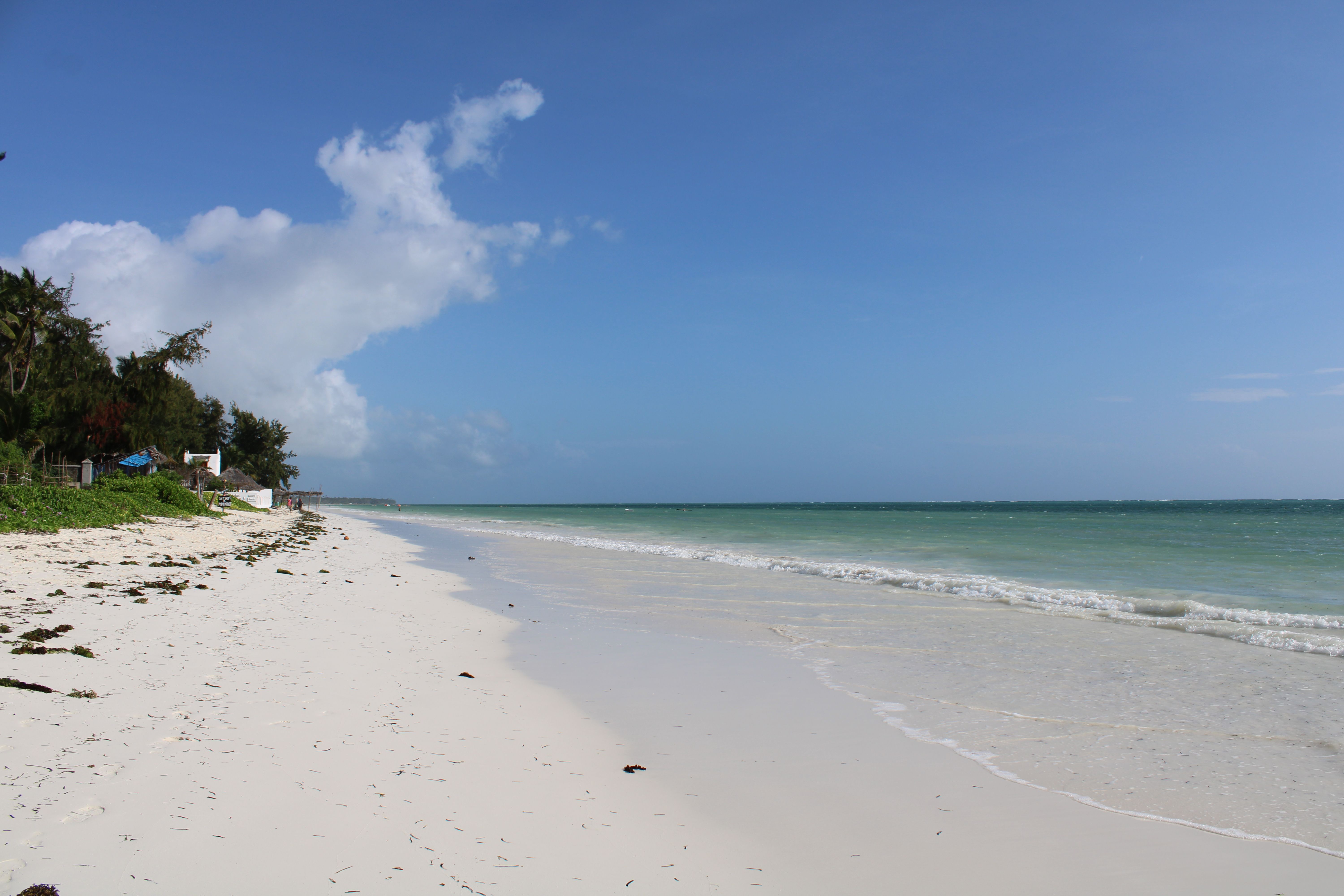 זנזיבר: Idyllic white sand beach and azure ocean under clear skies in Zanzibar, Tanzania.
